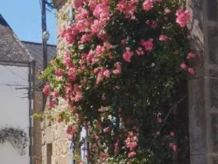 vente maison 3 pièces 72 m² plouharnel (56340)