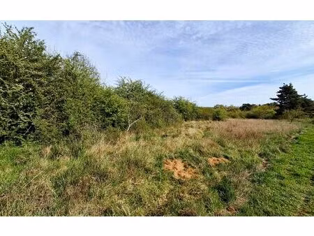 terrain bagneaux-sur-loing m² t- à vendre  99 000 €