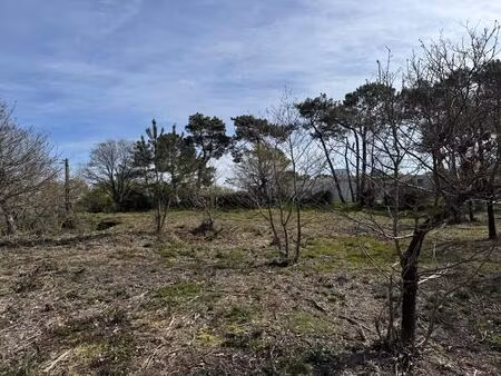 vente terrain 2672 m² guémené-penfao (44290)