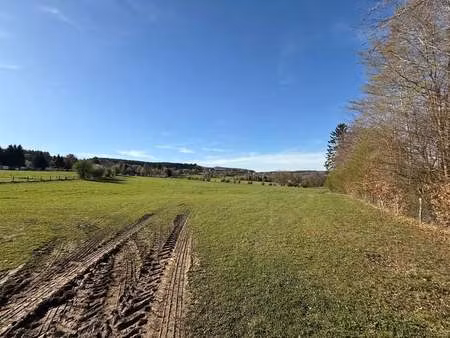 terrain à vendre à malempré € 95.000 (ln3pu) - antoine immo - durbuy | zimmo