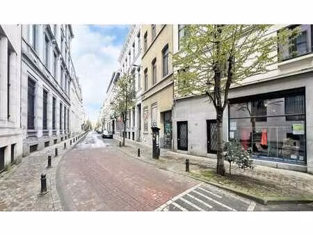 ix / magnifique rdc commercial rénové en 2017 de 55 m².