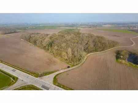 meer dan 3ha bosgrond te vladslo