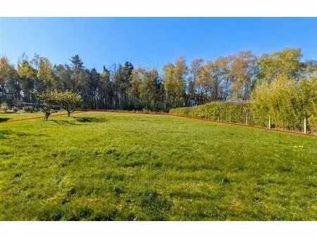 superbe terrain dans un environnement calme