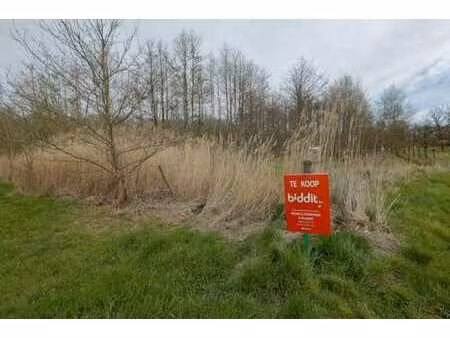 pre  bois et etang (lot 2)