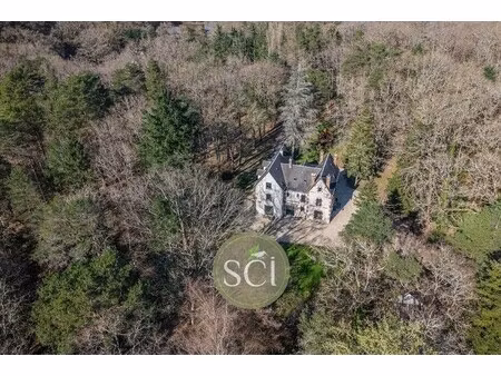 maison de luxe à vendre à nançay