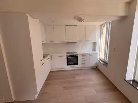 appartement 1 ch avec très grande terrasse