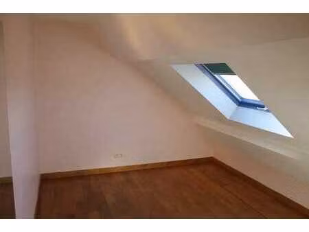 écologique très économique magnifique lumineux