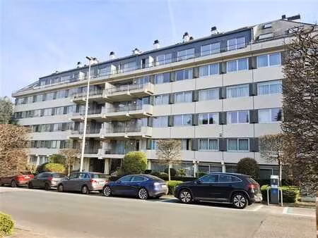 studio rez-de-chaussée avec cave - possibilité garage