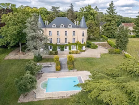 vente propriété 15 pièces 500 m² à villeneuve-sur-cher (18400)  1 500 000 €