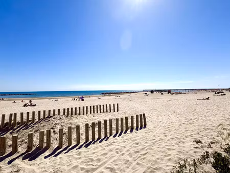 vente appartement 1 pièce 31 m² mauguio (34130)