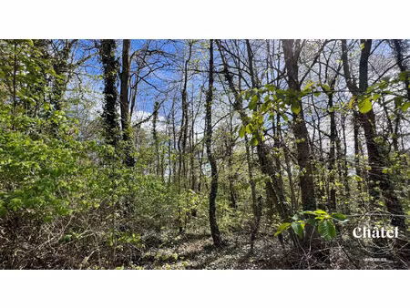 terrain de loisirs de près de 2 hectares boisé à gouvieux
