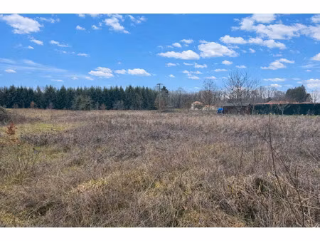 vente terrain 3023 m² peyrilhac (87510)