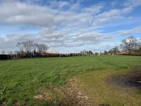 vente terrain 1000 m² à humeroeuille (62130)  23 000 €