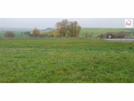 terrain constructible