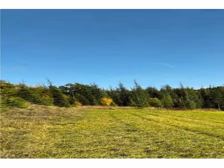 vente terrain 890 m² à belpech (11420)  35 000 €