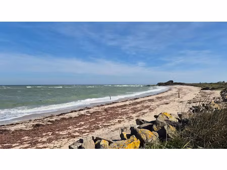 vente terrain 260 m² à réville (50760)  65 580 €