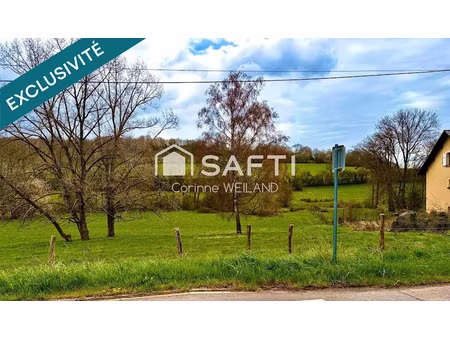 vente terrain 2268 m² à longeville-lès-saint-avold (57740)  63 000 €