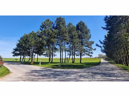 vente maison 6 pièces 103 m² boult-sur-suippe (51110)