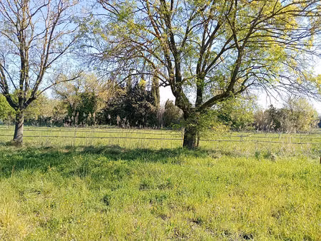 terrain le pradet 2500 m2