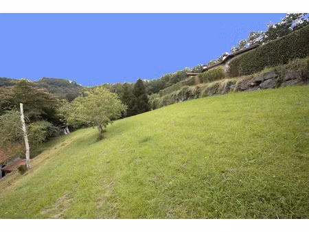 vente terrain 1000 m² à urrugne (64122)  190 000 €