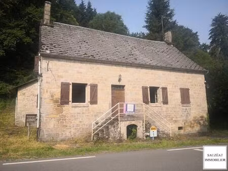 sauzéat immobilier