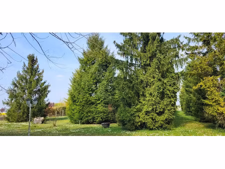 vente terrain à batir 5824 m² à beauce la romaine (41240)  95 000 €