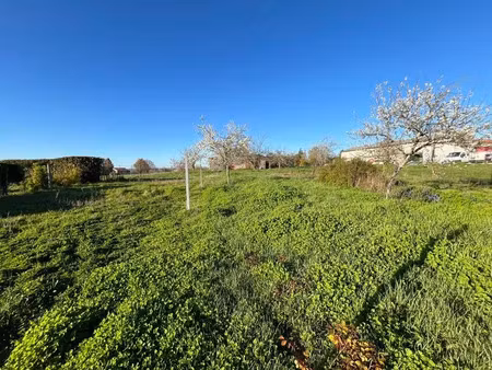 vente terrain 6046 m² à barbezieux-saint-hilaire (16300)  142 560 €