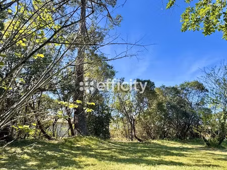 vente terrain 1000 m² à la teste-de-buch (33260)  230 000 €