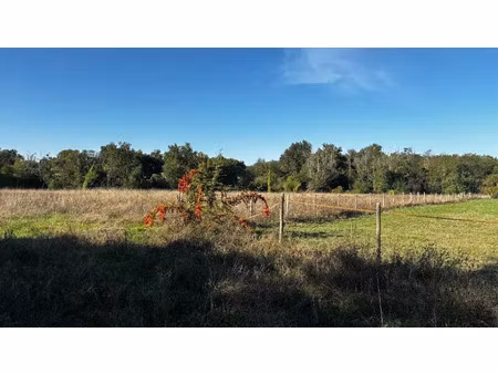 vente terrain 1000 m² à camblanes-et-meynac (33360)  275 000 €