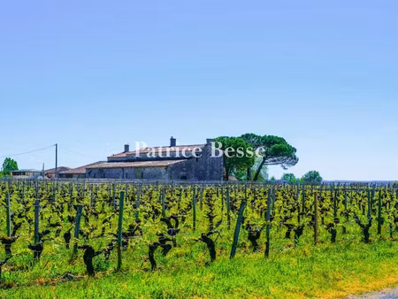 vente terrain 230 m² à saint-emilion (33330)  795 000 €