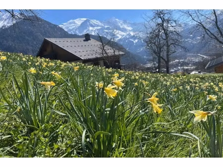 vente terrain 730 m² à servoz (74310)  422 000 €