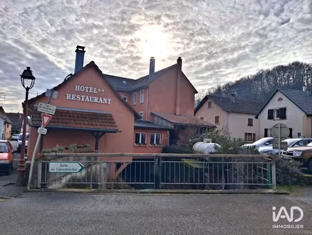 vente locaux professionnels 627 m² à bourbach-le-bas (68290)  640 000 €