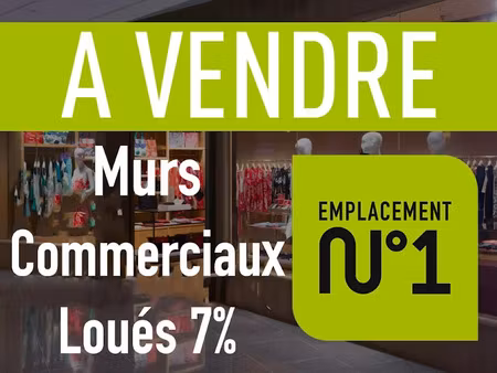 vente locaux professionnels 87 m² à lyon 1er (69001)  240 000 €