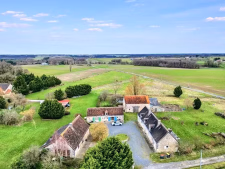 vente maison 10 pièces 315 m² à le petit-pressigny (37350)  300 000 €