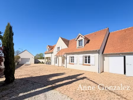 olivet sud  à vendre superbe maison familiale de plus de 200 m2 avec maison d'amis et pisc