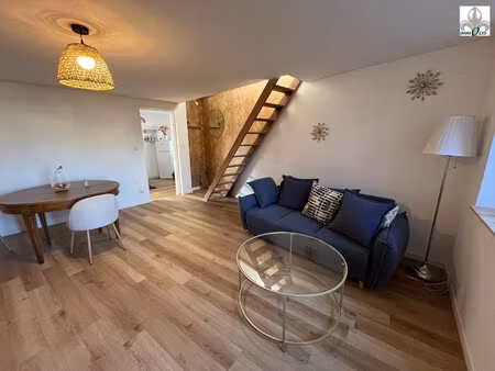 seurre centre-ville – maison rénovée avec cour ensoleillée