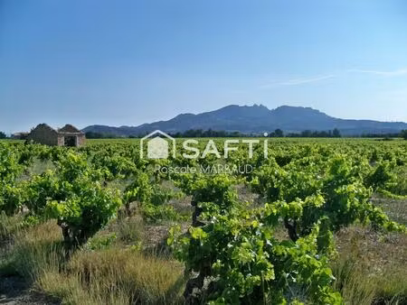 vignes appelat origine protegée vacqueyras 8800 m²