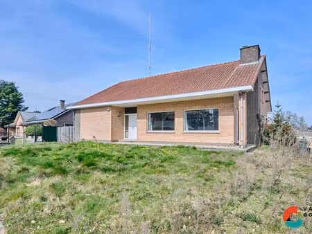 maison à vendre à wijchmaal € 319.000 (ln45x) - vastgoed c - hechtel verkoop | zimmo