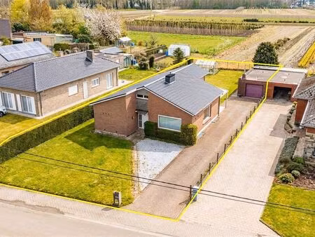 maison à vendre à schellebelle € 365.000 (ln3gq) - immo zone wetteren | zimmo