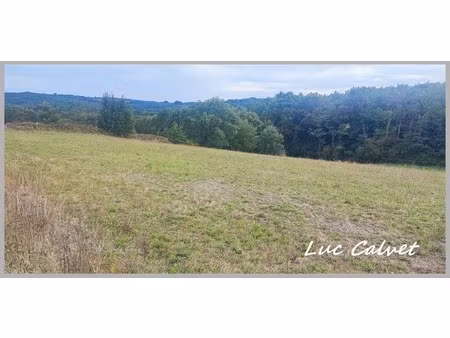 à vendre - le born (31) terrain constructible de 1970 m² prix : 52000 €