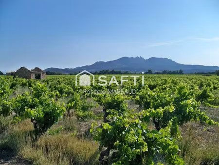 vente terrain 8800 m² sarrians (84260)