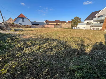 vente terrain 492 m² hirtzfelden (68740)