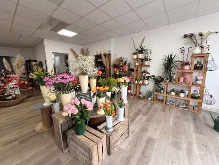 vente bureaux et commerces à riaillé (44440) : à vendre / riaillé