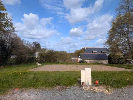 vente terrain à treillières (44119) : à vendre / 546m² treillières