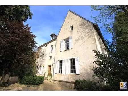 prestigieuse maison en vente mehun-sur-yèvre  centre