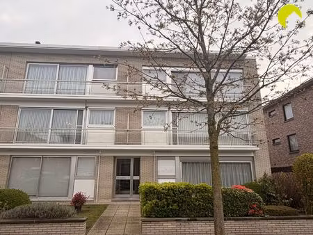 appartement te huur in edegem met 3 slaapkamers