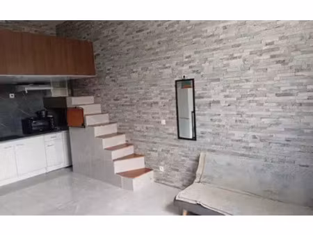 brie-comte-robert (77170)