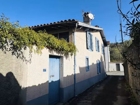 vente maison 8 pièces 235 m² saint-girons (09200)