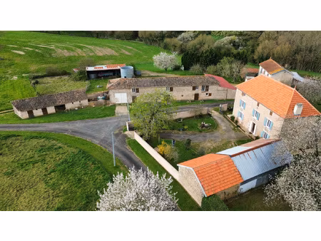 achat maison 9 pièces 245m² valence en poitou 86700