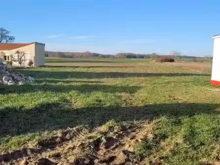 terrain
